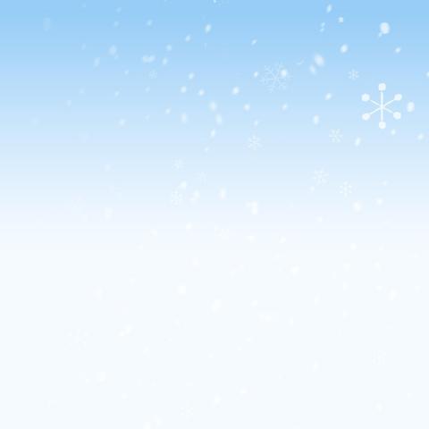 四年级五班第十五周周总结