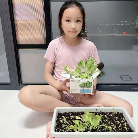 “植”得期待，慢慢长大  水培土培生菜的观察日记