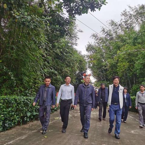 市委副书记林海宁一行调研和美乡村现场推进会筹备情况