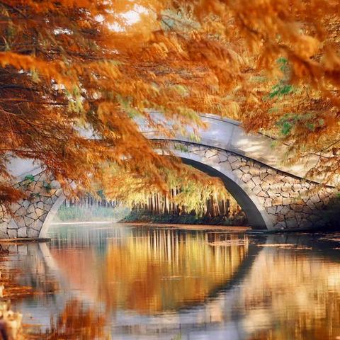 【泰好玩】11月17—23日江南赏秋轻奢定制七日纯玩游