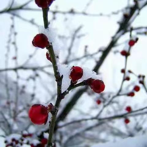 【吹雪读书】你有多简单，就有多幸福