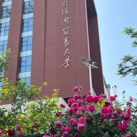 外经贸大学围墙外的花