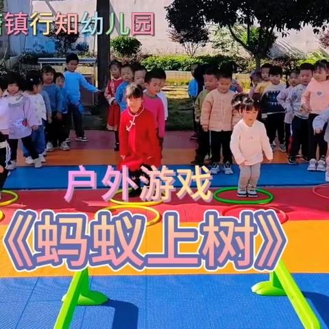 行知幼儿园中班（11~12周）快乐成长记录