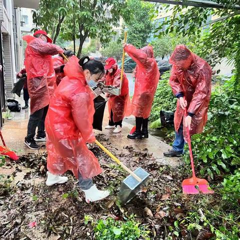 深学争优、敢为争先、实干争效”行动|金山街道开展"护河爱水 清洁家园"专项行动