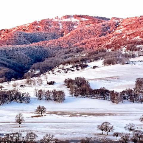 秋冬.乌兰布统草原