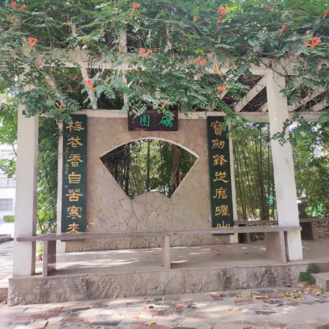 “后高考时期”心理调适指南