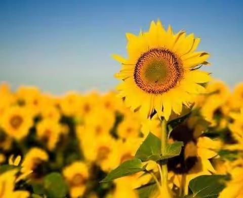 国培送教下乡之研课磨课