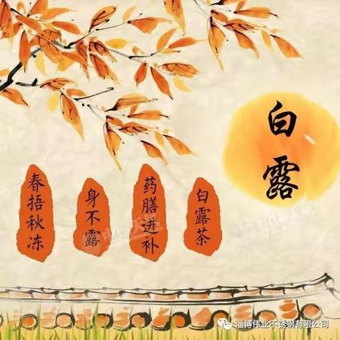 二十四节气播报-白露