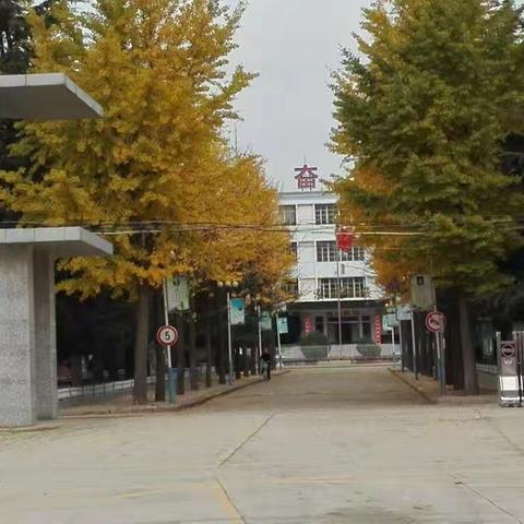 庆城县驿马中学教师团队跟岗学习纪实：寻诗眼，品古韵 ——高一语文古诗词鉴赏之炼字