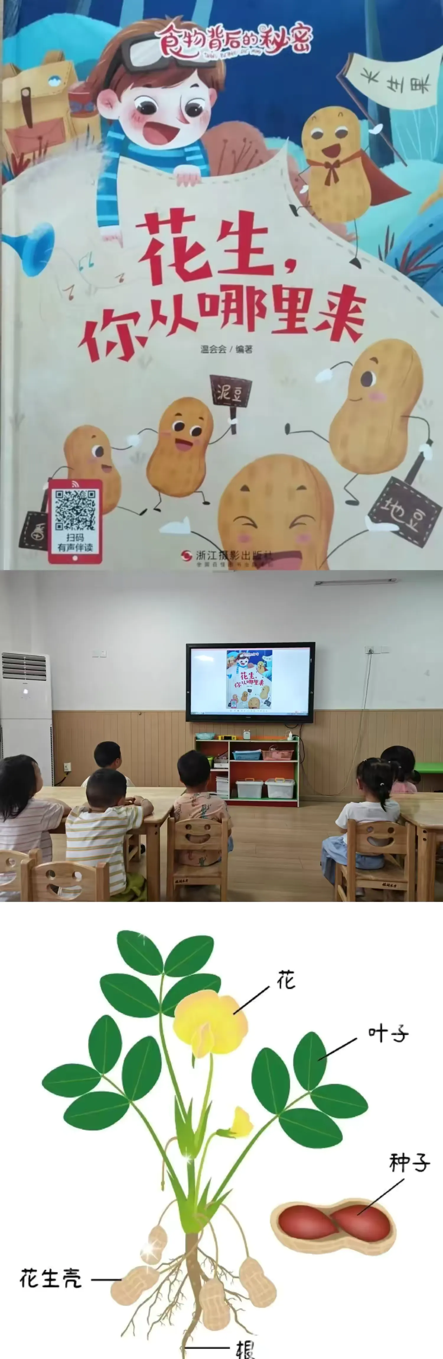 【好事花生】—昭化区机关幼儿园分园小班班本课程