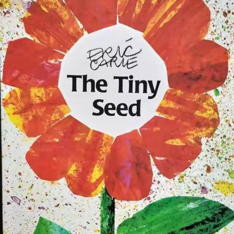 《the tiny seed》