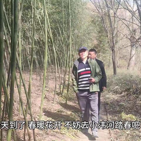 杨凌小湋河踏春