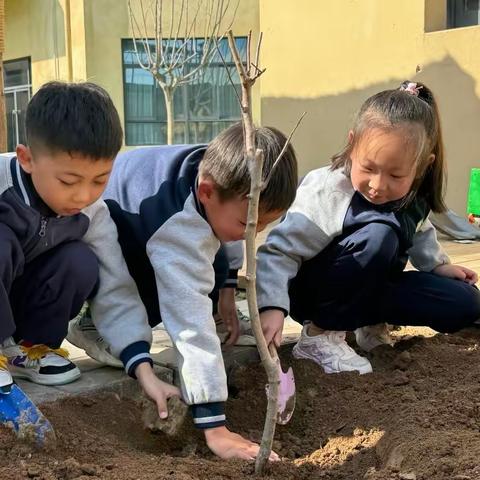 “幼上春山  植此青绿”——区四幼“名校➕”共同体植树节主题教育活动