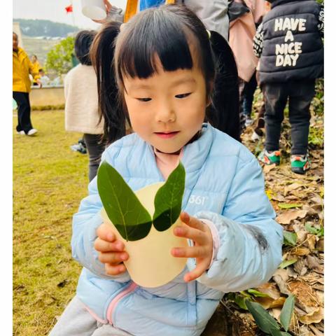 我是小小设计师——凯里市艾乐幼儿园中班组周回顾