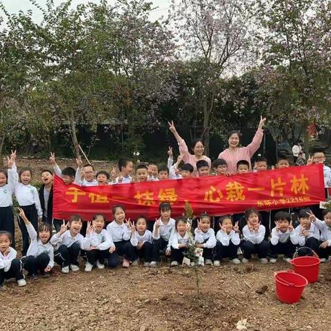 手植一抹绿，心栽一片林——东环小学2216班