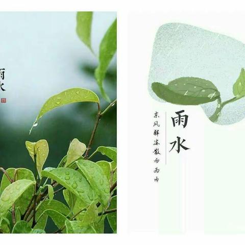 雨水落，万物生 — 蓓蕾幼儿园大班组“雨水”节气主题活动