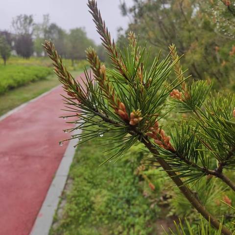 春风化雨，润心前行