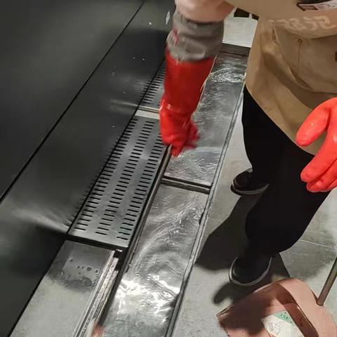 丽丽的简篇