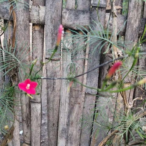 孝谦亲子国学《至善一班》开展徒步活动