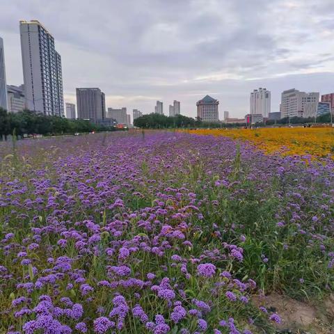 惠民小区项目部九月第三周简报