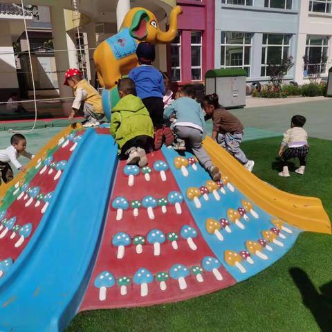 健康教育    快乐成长