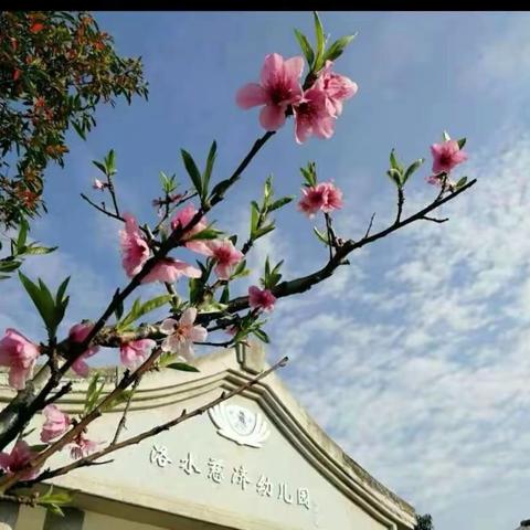 洛水慈济幼儿园“督学引领 行稳致远”办园行为督导检查