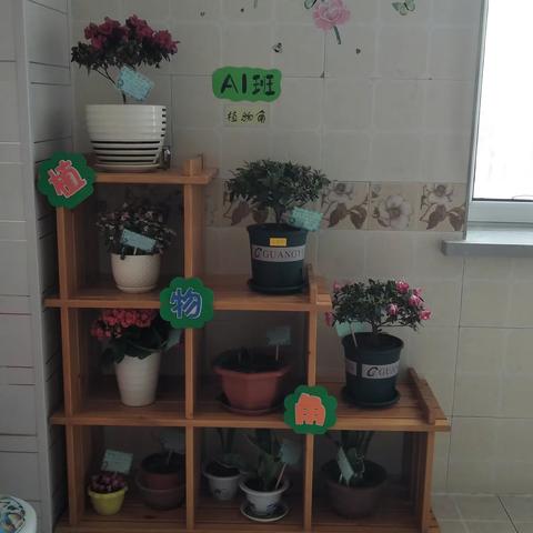 公主岭市朝鲜族学校暨第三幼儿园“家园共育 静待花开---我们一起养花”主题实践活动小结