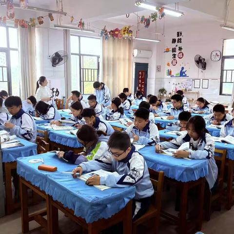 勤恳与活力交织的日常