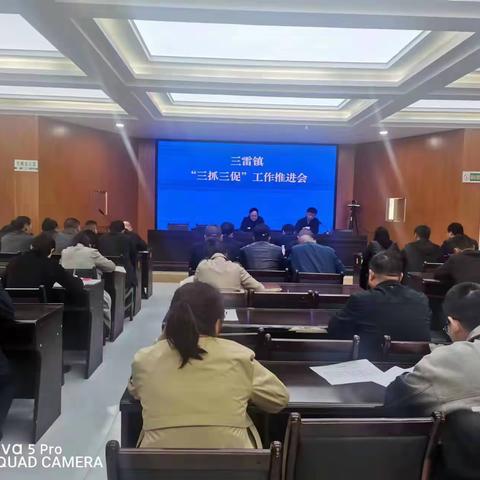 三雷镇召开“三抓三促”行动推进会