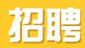 三雷镇人民政府关于公开招聘专业化管理的村文书的公告