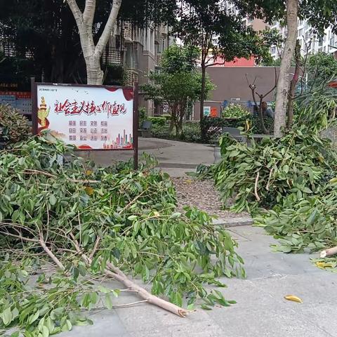 仁辉社区——修剪树枝消隐患  改善人居环境