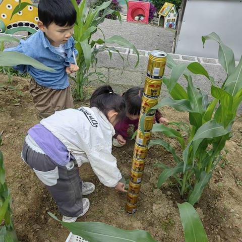 正安县小雅镇幼儿园中二班五月总结