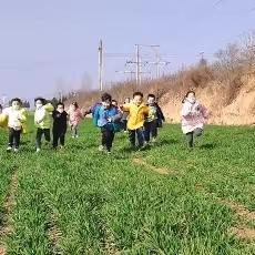 【麦苗的秘密】——小蚂蚁素养班春日游