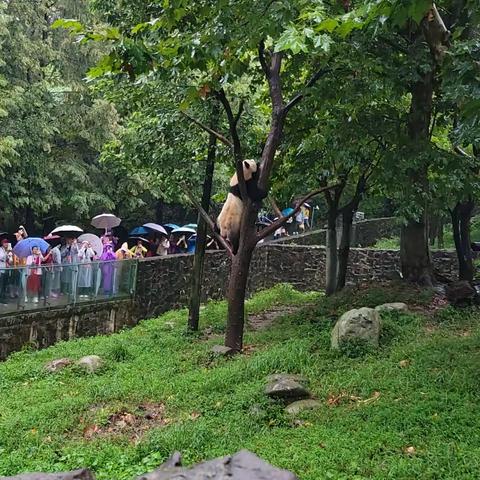 我的世遗之旅之四川行