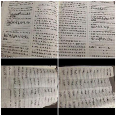 C2115杨淇文组美篇