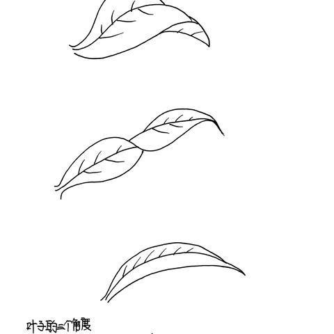 支教岛教师简笔画公益班1班第90周成长记录 ‍