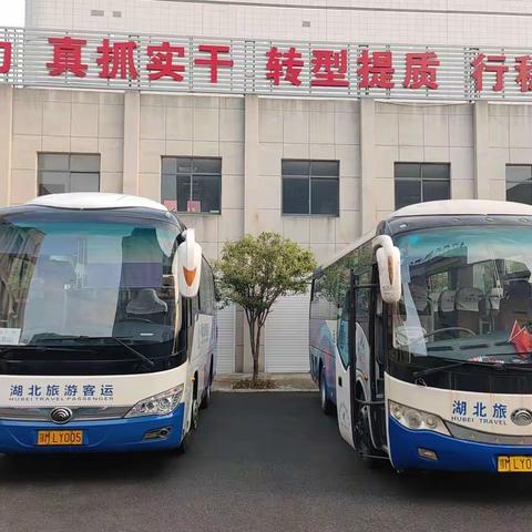 仙桃支行携手泰康人寿在京山农场开展“迎春踏青”活动