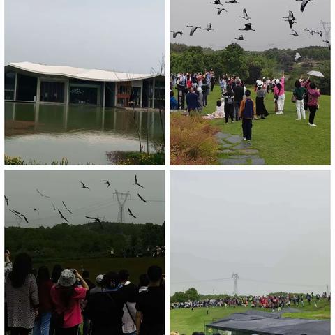 仙桃支行携手泰康人寿开展“感受春天•凝聚活力”仙鹤湖湿地公园行