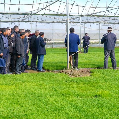 与科技来场“约会”，信阳市再生稻育秧暨种植技术现场交流培训会在商城县召开