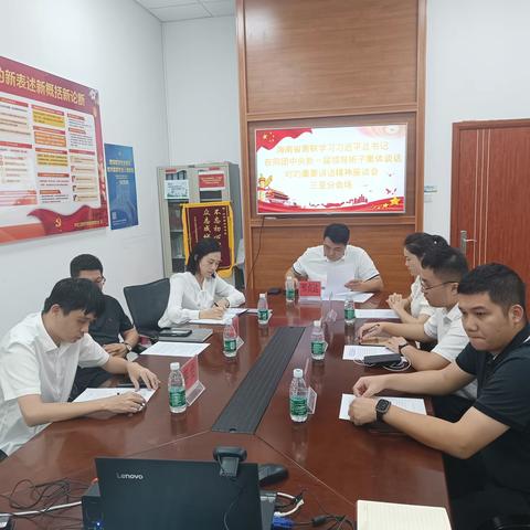 海南省青联学习习近平总书记在同团中央新一届领导班子集体谈话时的重要讲话精神座谈会