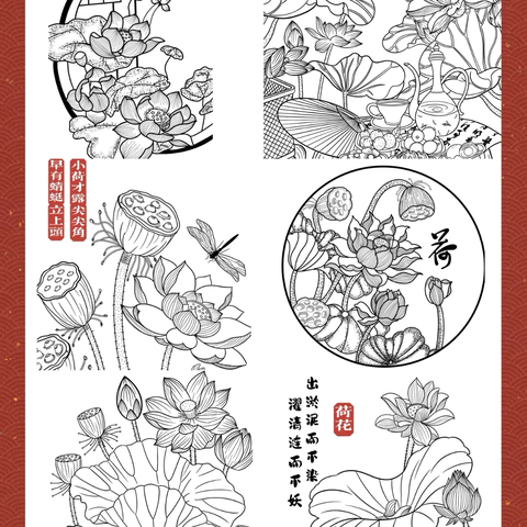 周六上午《荷花线描画》