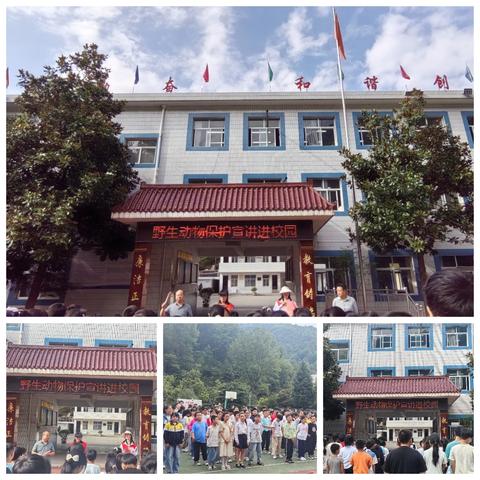 守护自然精灵 共绘生态画卷 ——西口回族镇中心小学野生动物保护宣讲活动纪实