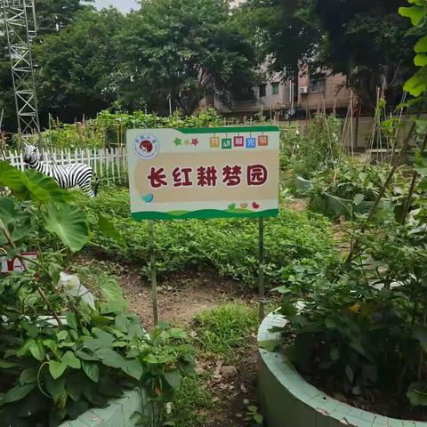 【耕梦园·夏之礼赞】绿意满园展生机