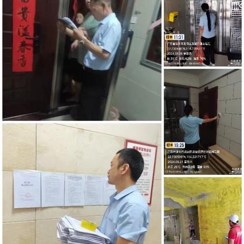 《爱地花园二期》我们2024年10月的日常工作展示