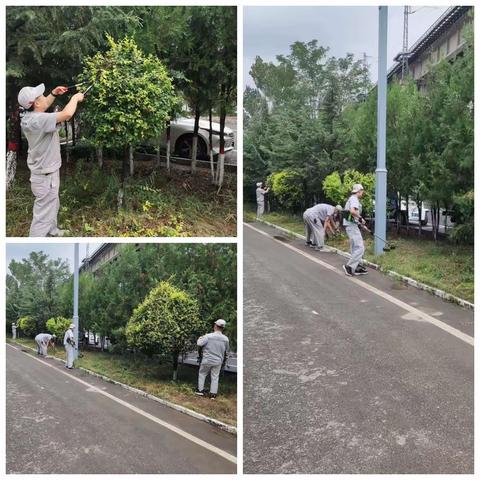 持之以恒见成效