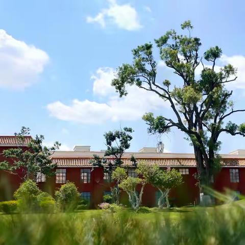 玉溪市江川区第一中学2024年高一年级招生简章