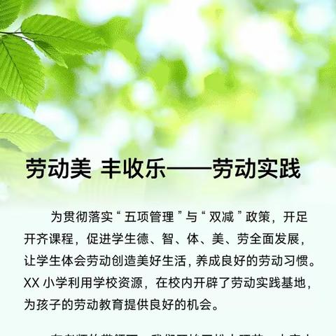 劳动美丰收乐——濮阳兴龙学校劳动实践