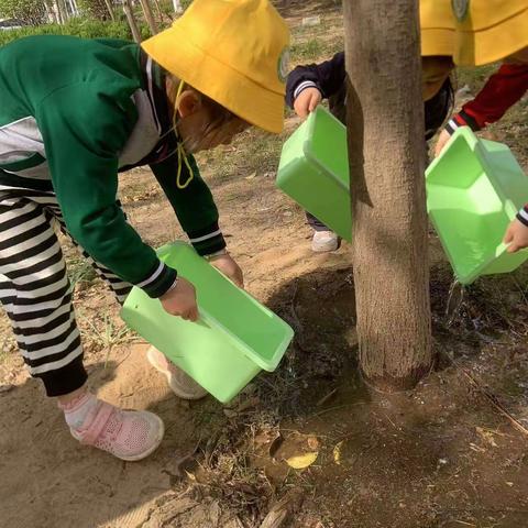 绿色节日——植树节