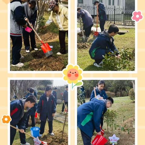 植此青绿    树梦未来