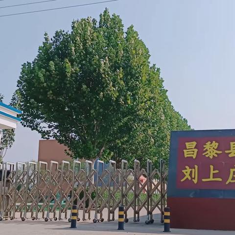 刘上庄小学“我的寒假日记”活动方案